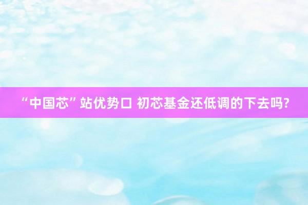 “中国芯”站优势口 初芯基金还低调的下去吗?