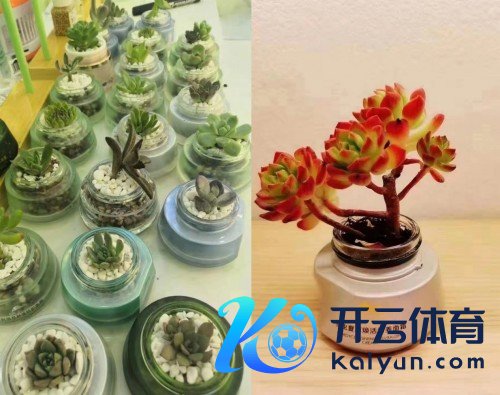 植物医师迎接世界地球日 开展“空瓶好意思肤节”助力可延续发展