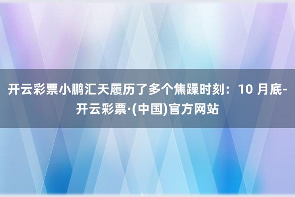 开云彩票小鹏汇天履历了多个焦躁时刻：10 月底-开云彩票·(中国)官方网站